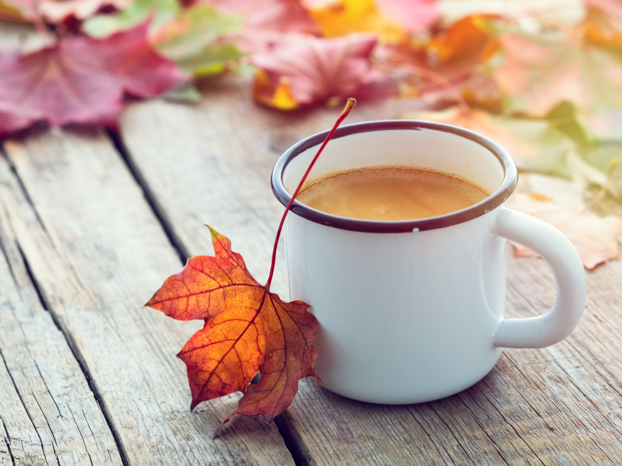 cup of tea with autumn leaf